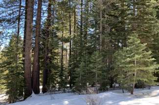1593 Plumas Cir, South Lake Tahoe, CA 96150 El Dorado County