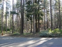 Lake Tahoe Real Estate listing 1744 Delaware