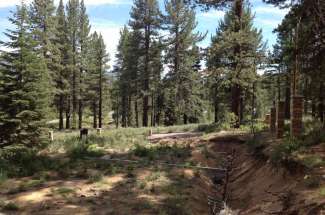 Land for Sale in South Lake Tahoe