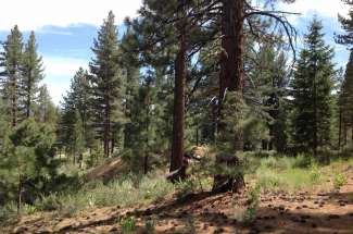 Vacant Land for Sale in South Lake Tahoe