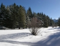 South Lake Tahoe mls lot listing