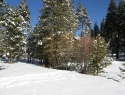 South Lake Tahoe mls lot listing