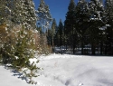 South Lake Tahoe mls listing